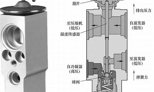 汽车空调膨胀阀漏-汽车空调膨胀阀漏气可以修理吗